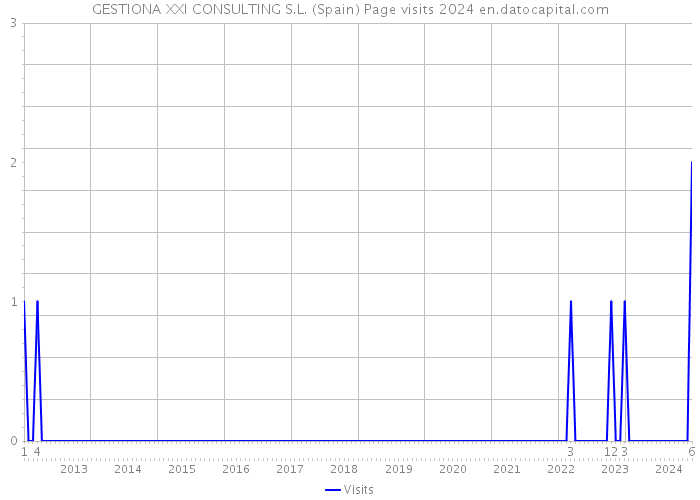 GESTIONA XXI CONSULTING S.L. (Spain) Page visits 2024 