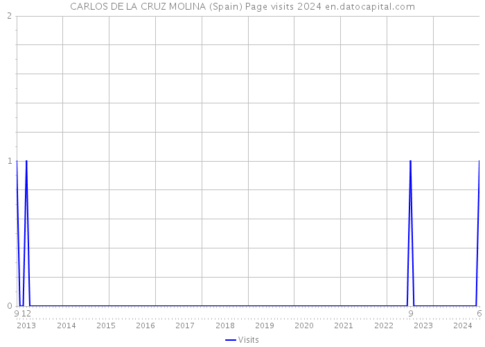 CARLOS DE LA CRUZ MOLINA (Spain) Page visits 2024 