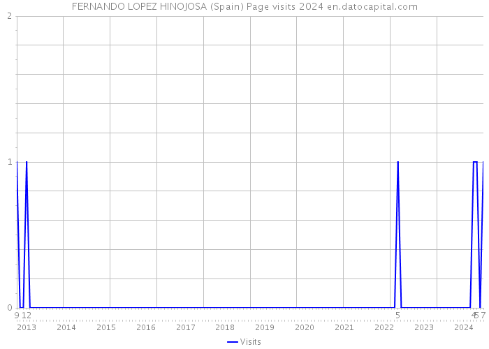 FERNANDO LOPEZ HINOJOSA (Spain) Page visits 2024 