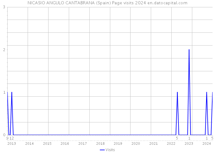 NICASIO ANGULO CANTABRANA (Spain) Page visits 2024 