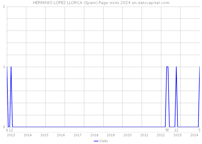 HERMINIO LOPEZ LLORCA (Spain) Page visits 2024 