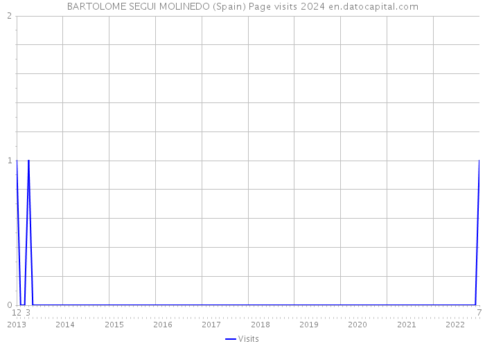 BARTOLOME SEGUI MOLINEDO (Spain) Page visits 2024 