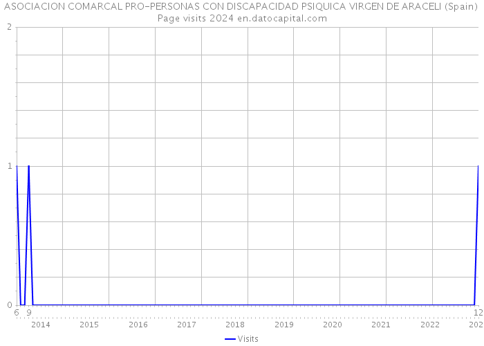 ASOCIACION COMARCAL PRO-PERSONAS CON DISCAPACIDAD PSIQUICA VIRGEN DE ARACELI (Spain) Page visits 2024 
