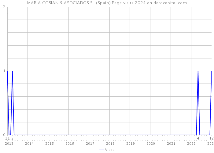 MARIA COBIAN & ASOCIADOS SL (Spain) Page visits 2024 
