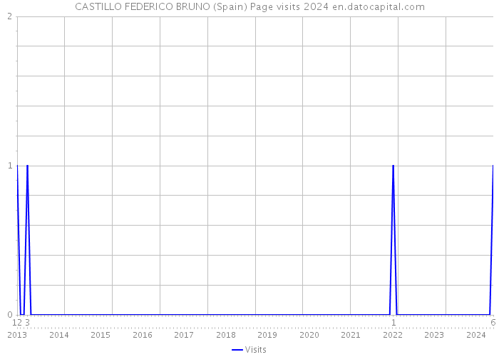 CASTILLO FEDERICO BRUNO (Spain) Page visits 2024 