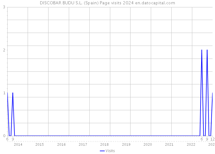 DISCOBAR BUDU S.L. (Spain) Page visits 2024 