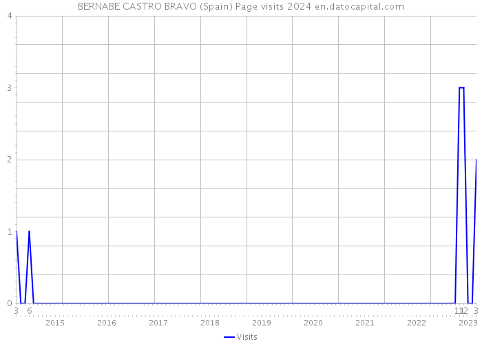 BERNABE CASTRO BRAVO (Spain) Page visits 2024 