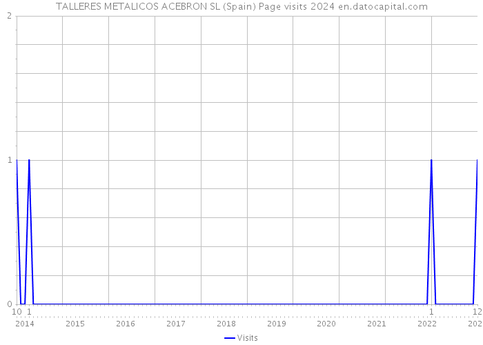 TALLERES METALICOS ACEBRON SL (Spain) Page visits 2024 