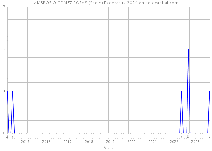 AMBROSIO GOMEZ ROZAS (Spain) Page visits 2024 