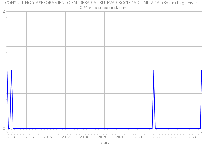 CONSULTING Y ASESORAMIENTO EMPRESARIAL BULEVAR SOCIEDAD LIMITADA. (Spain) Page visits 2024 