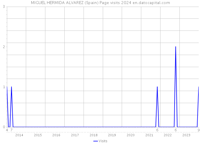 MIGUEL HERMIDA ALVAREZ (Spain) Page visits 2024 