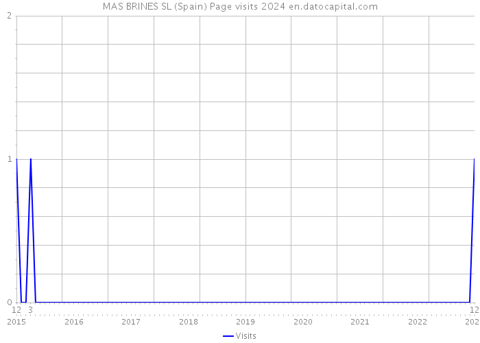 MAS BRINES SL (Spain) Page visits 2024 