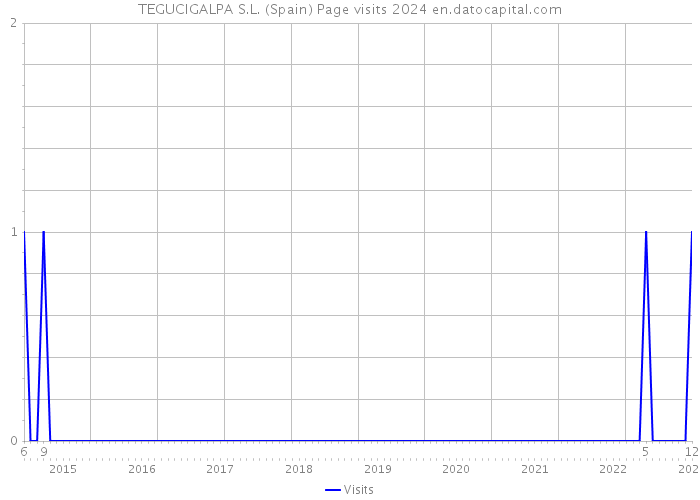 TEGUCIGALPA S.L. (Spain) Page visits 2024 