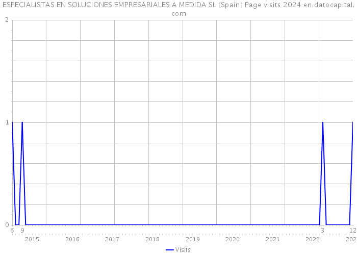 ESPECIALISTAS EN SOLUCIONES EMPRESARIALES A MEDIDA SL (Spain) Page visits 2024 