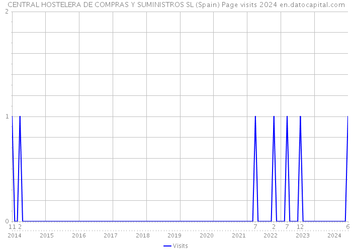 CENTRAL HOSTELERA DE COMPRAS Y SUMINISTROS SL (Spain) Page visits 2024 