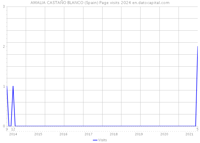 AMALIA CASTAÑO BLANCO (Spain) Page visits 2024 