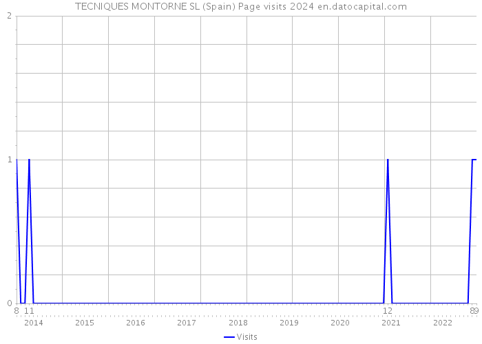 TECNIQUES MONTORNE SL (Spain) Page visits 2024 