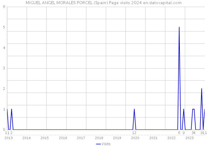 MIGUEL ANGEL MORALES PORCEL (Spain) Page visits 2024 