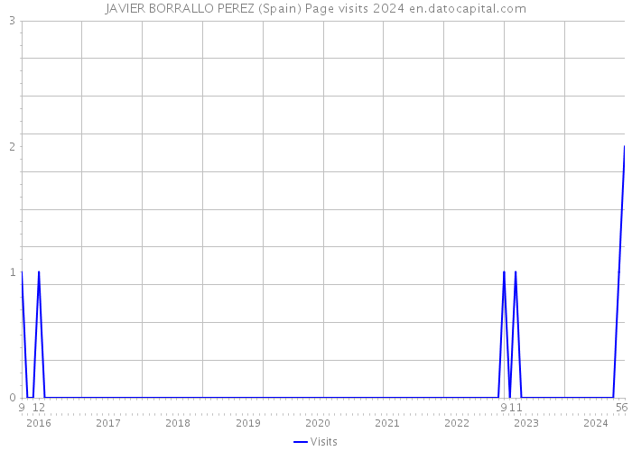 JAVIER BORRALLO PEREZ (Spain) Page visits 2024 