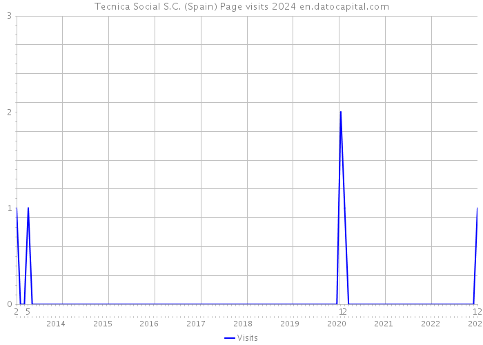 Tecnica Social S.C. (Spain) Page visits 2024 