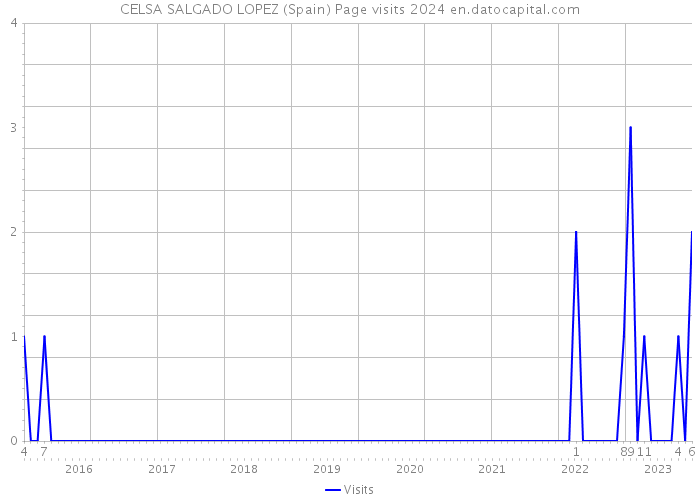 CELSA SALGADO LOPEZ (Spain) Page visits 2024 