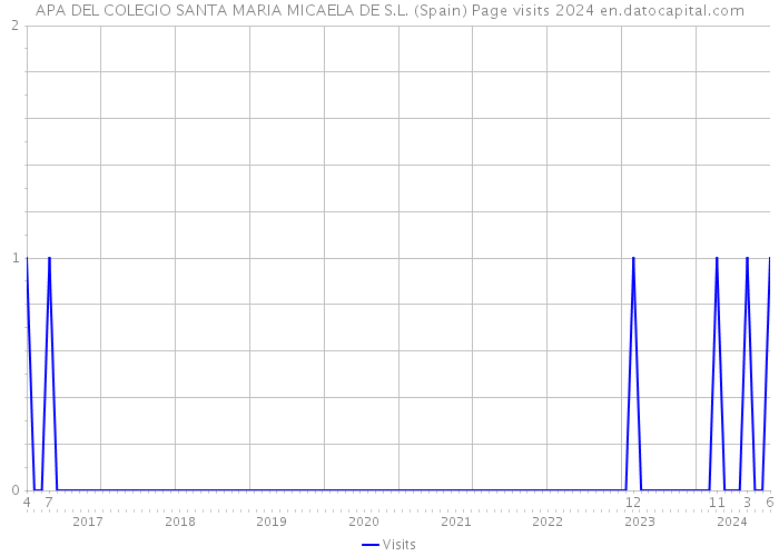 APA DEL COLEGIO SANTA MARIA MICAELA DE S.L. (Spain) Page visits 2024 