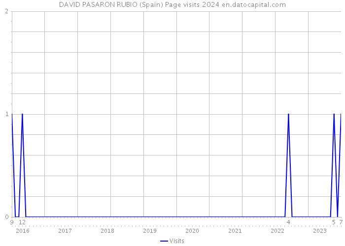 DAVID PASARON RUBIO (Spain) Page visits 2024 