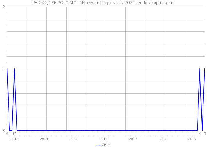 PEDRO JOSE POLO MOLINA (Spain) Page visits 2024 