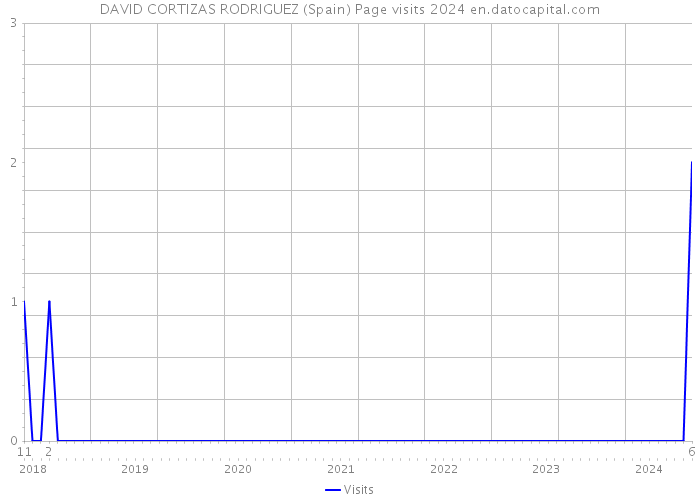 DAVID CORTIZAS RODRIGUEZ (Spain) Page visits 2024 