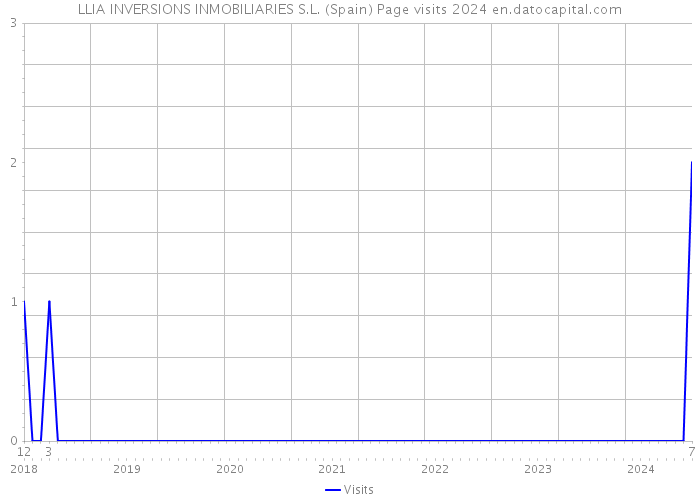 LLIA INVERSIONS INMOBILIARIES S.L. (Spain) Page visits 2024 