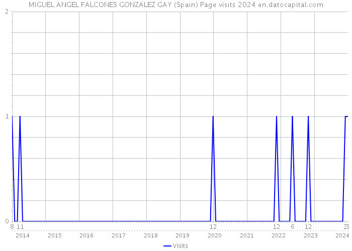 MIGUEL ANGEL FALCONES GONZALEZ GAY (Spain) Page visits 2024 