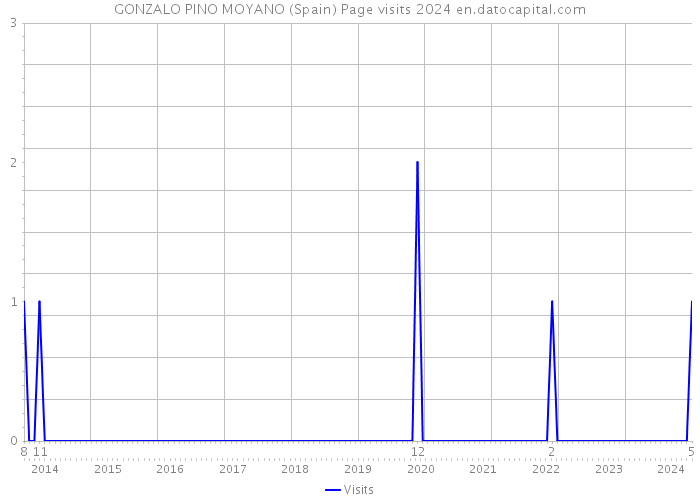 GONZALO PINO MOYANO (Spain) Page visits 2024 
