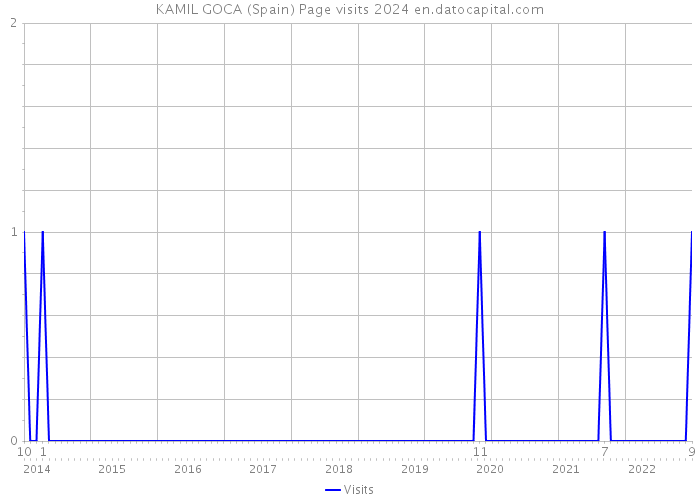 KAMIL GOCA (Spain) Page visits 2024 