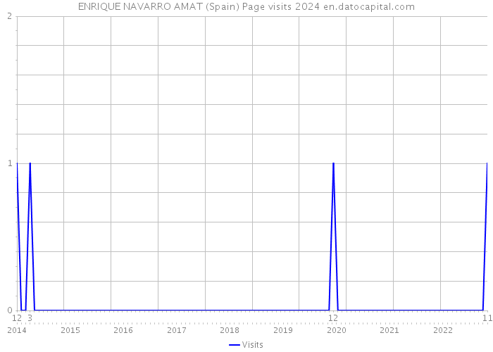ENRIQUE NAVARRO AMAT (Spain) Page visits 2024 
