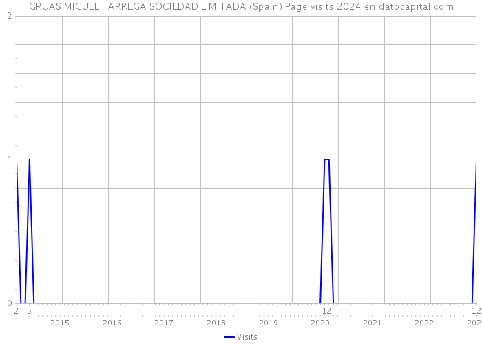 GRUAS MIGUEL TARREGA SOCIEDAD LIMITADA (Spain) Page visits 2024 