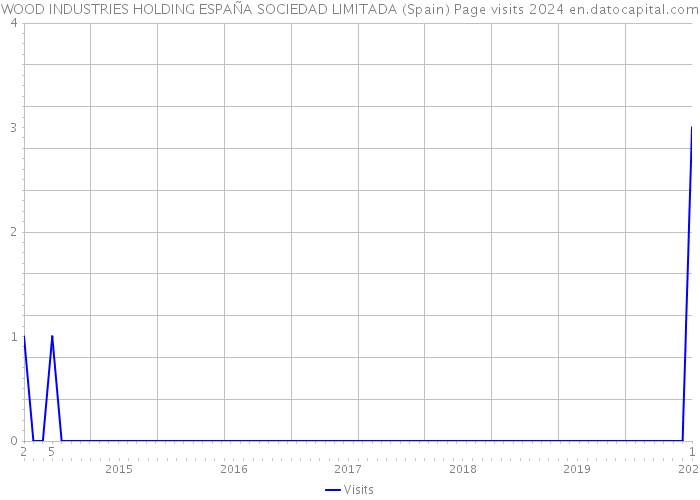 WOOD INDUSTRIES HOLDING ESPAÑA SOCIEDAD LIMITADA (Spain) Page visits 2024 