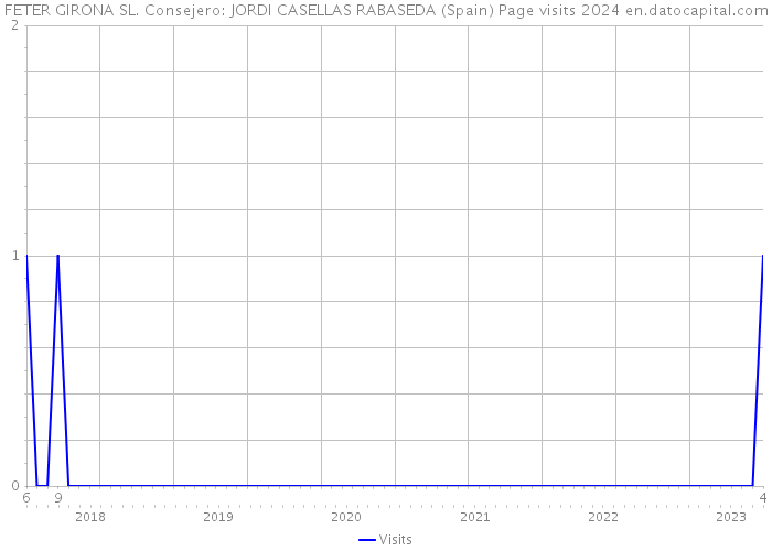 FETER GIRONA SL. Consejero: JORDI CASELLAS RABASEDA (Spain) Page visits 2024 