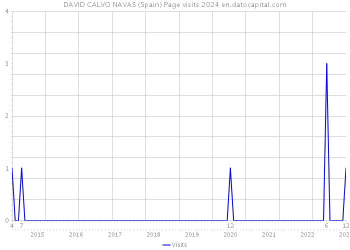DAVID CALVO NAVAS (Spain) Page visits 2024 