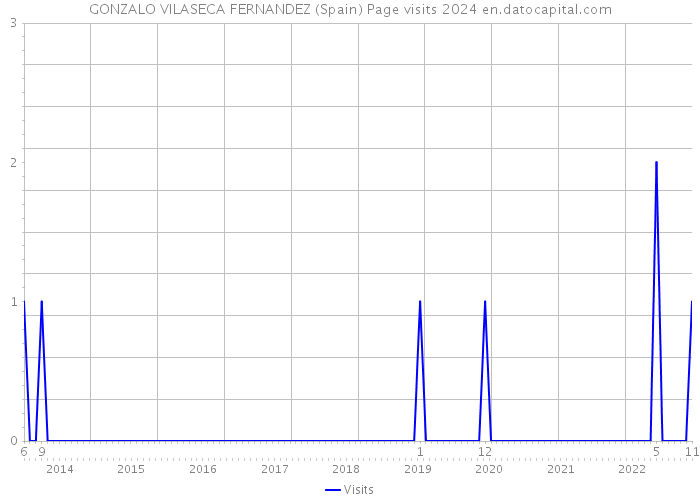 GONZALO VILASECA FERNANDEZ (Spain) Page visits 2024 