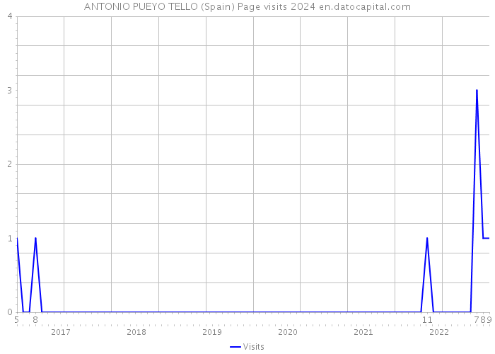 ANTONIO PUEYO TELLO (Spain) Page visits 2024 