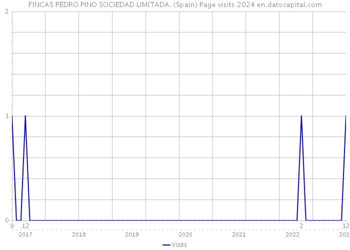 FINCAS PEDRO PINO SOCIEDAD LIMITADA. (Spain) Page visits 2024 