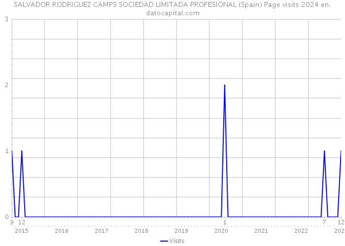 SALVADOR RODRIGUEZ CAMPS SOCIEDAD LIMITADA PROFESIONAL (Spain) Page visits 2024 