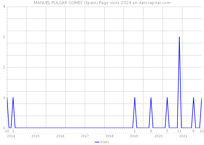 MANUEL PULGAR GOMEZ (Spain) Page visits 2024 