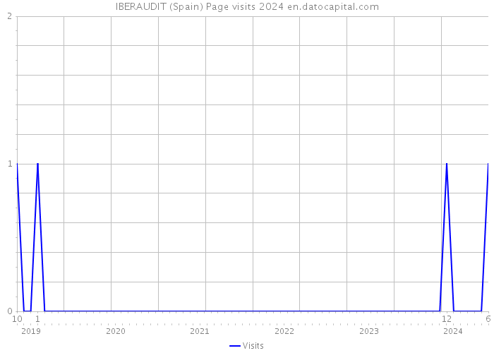 IBERAUDIT (Spain) Page visits 2024 
