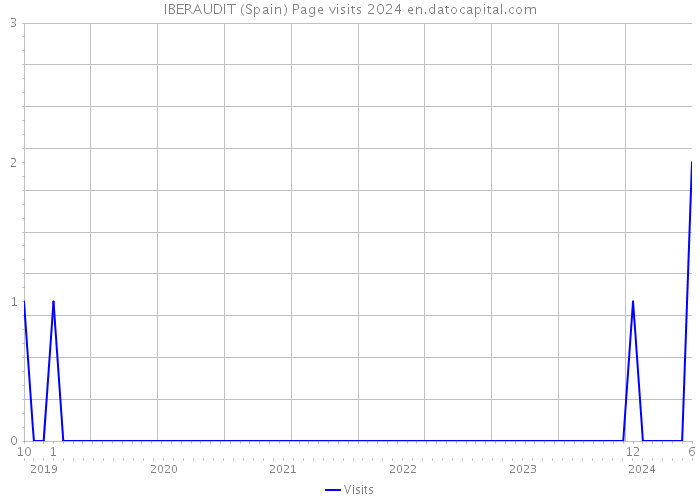 IBERAUDIT (Spain) Page visits 2024 