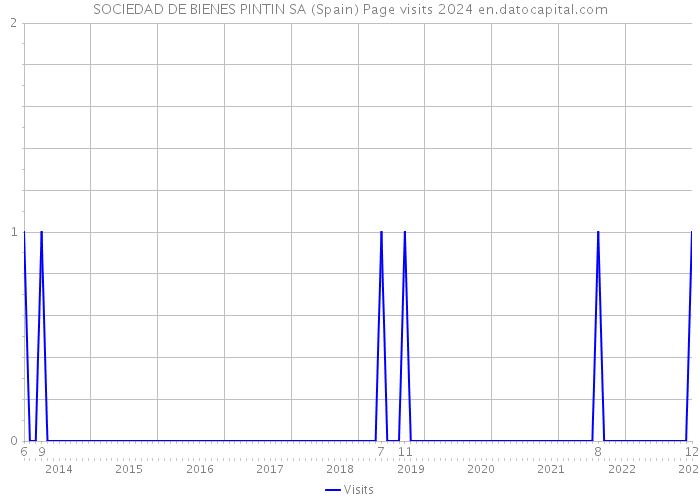 SOCIEDAD DE BIENES PINTIN SA (Spain) Page visits 2024 