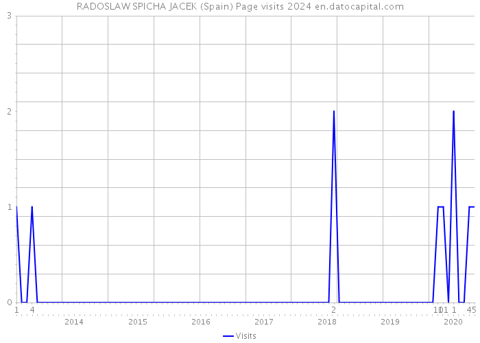 RADOSLAW SPICHA JACEK (Spain) Page visits 2024 