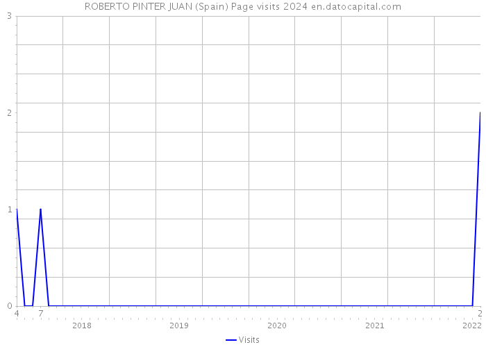 ROBERTO PINTER JUAN (Spain) Page visits 2024 