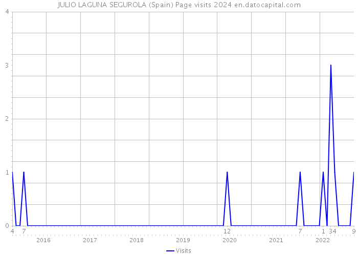 JULIO LAGUNA SEGUROLA (Spain) Page visits 2024 