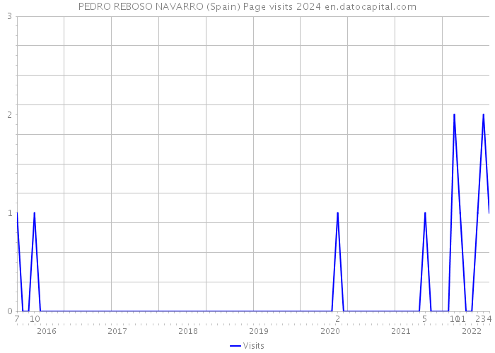 PEDRO REBOSO NAVARRO (Spain) Page visits 2024 